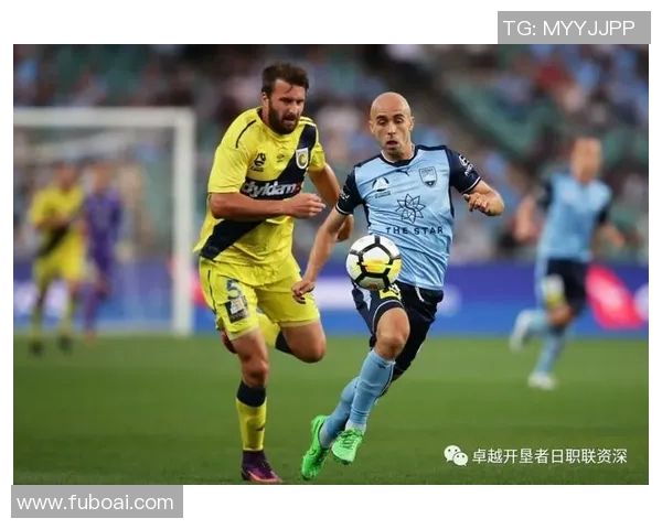 鲁尔区德甲球队分布及德比对决历史